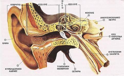 EarProthesis - Παλαιό Φάληρο (2)