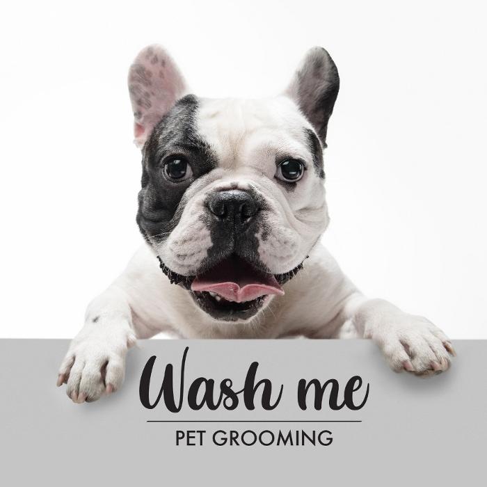 WashMe Grooming