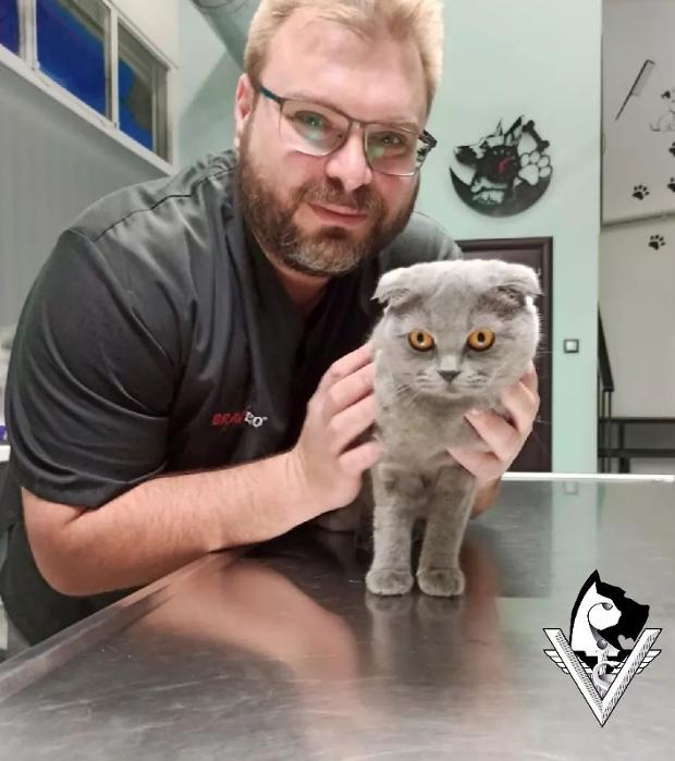 ΚΤΗΝΙΑΤΡΟΙ ΠΑΤΗΣΙΑ, ΚΤΗΝΙΑΤΡΕΙΑ, ΚΤΗΝΙΑΤΡΙΚΕΣ ΚΛΙΝΙΚΕΣ ΚΑΤΩ ΠΑΤΗΣΙΑ: Χριστόπουλος Ηλίας, Κτηνίατρος Πατήσια, Κτηνιατρική κλινική, Κτηνιατρείο