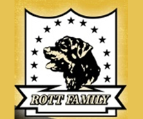 file-1716985562493.png