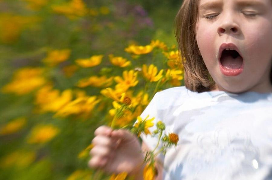 Ο Ειδικός Αλλεργιολόγος Σιφναίος Εμμανουήλ διατηρεί το ιατρείο του στην Καλαμάτα και εξυπηρετεί όλες τις γύρω περιοχές.