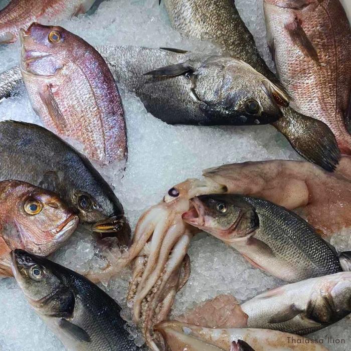 Ιχθυοπωλείο Ίλιον, Ιχθυοπωλεία Ίλιον, Φρέσκα ψάρια Ίλιον