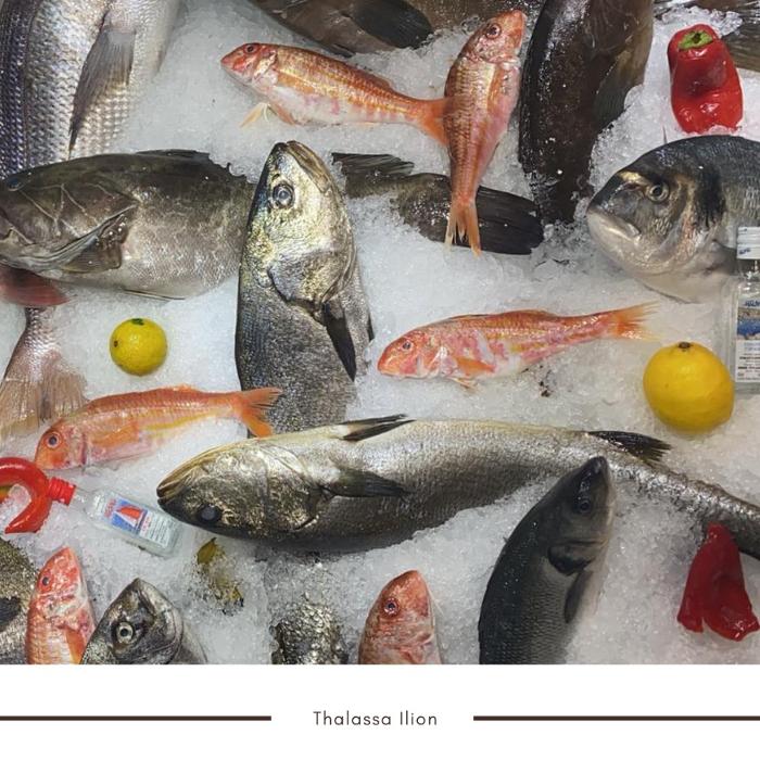 Ψάρια delivery Ίλιον, Ιχθυοπωλείο διανομή κατ' οίκον Ίλιον, Ψαράδικο χονδρική Ίλιον