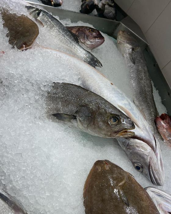 Καθάρισμα ψαριών Ίλιον, Ιχθυοπωλεία διανομή κατ' οίκον Άγιοι Ανάργυροι