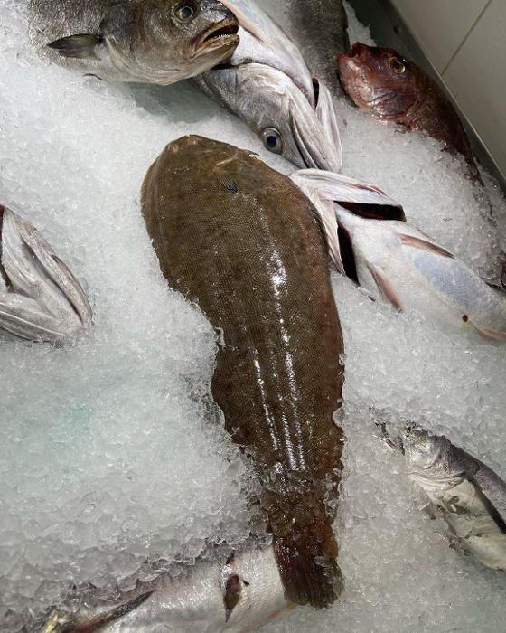 Ιχθυοπωλεία διανομή κατ' οίκον Καματερό, Ιχθυοπωλείο διανομή κατ' οίκον Πετρούπολη