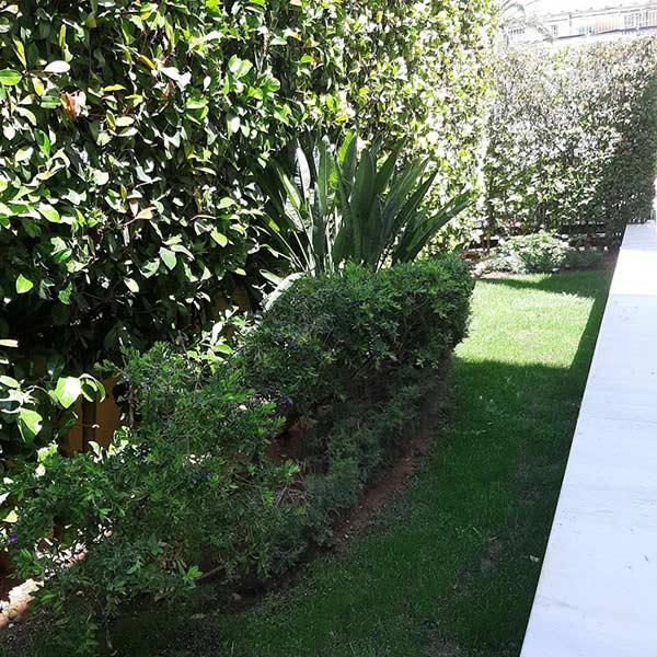 Color Garden, Κατασκευή Κήπου Βουλιαγμένη, Συντηρήσεις Κήπων, Αυτόματο Πότισμα, Απολυμάνσεις, Απεντομώσεις Βουλιαγμένη