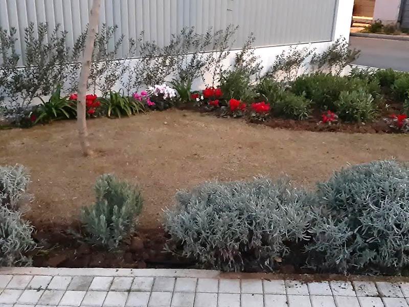 ΚΑΤΑΣΚΕΥΕΣ ΚΗΠΩΝ ΒΟΥΛΙΑΓΜΕΝΗ: Color Garden, Κατασκευή Κήπου Βουλιαγμένη, Συντήρηση κήπου, Αυτόματο πότισμα Βουλιαγμένη