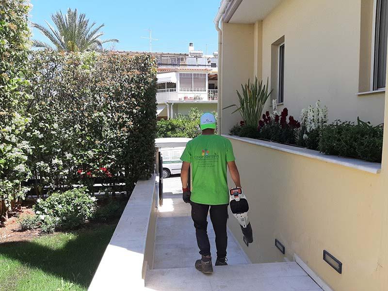 Συντηρήσεις κήπων, Κατασκευή κήπου Βουλιαγμένη, Βραχόκηποι, Αυτόματο πότισμα, Απολυμάνσεις, Απεντομώσεις, Μυοκτονίες, Απώθηση πτηνών, Σχεδιασμός τοπίου