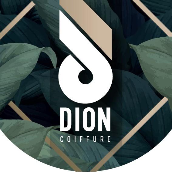 DION COIFFURE