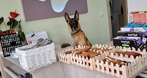 Puppy Cute, Κομμωτήριο Μικρών Ζώων Άλιμος, Κομμωτήριο Σκύλων, Pet Grooming Dog Groomer Καλαμάκι