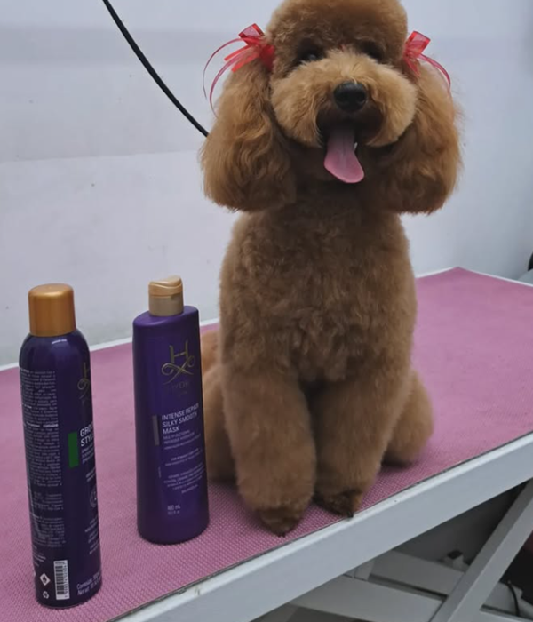 Το κομμωτήριο σκύλων, pet grooming Puppy Cute εξυπηρετεί τον Άλιμο και όλες τις γύρω περιοχές:  Άλιμος Καλαμάκι κ.α.