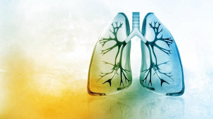 Πνευμονολόγος Ψυχικό, Εργοσπιρομετρία Αποκατάσταση Αναπνευστικού, Σπιρομέτρηση, Οξυμετρία Νέο Ψυχικό, Παλαιό Ψυχικό