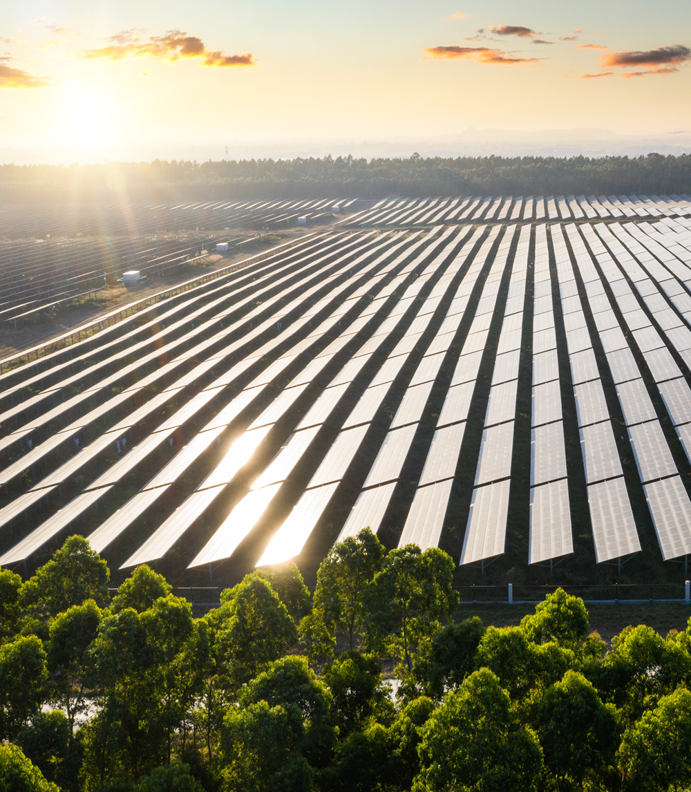 EUROPA SECURITY, ΦΥΛΑΞΗ ΦΩΤΟΒΟΛΤΑΙΚΩΝ ΛΑΡΙΣΑ