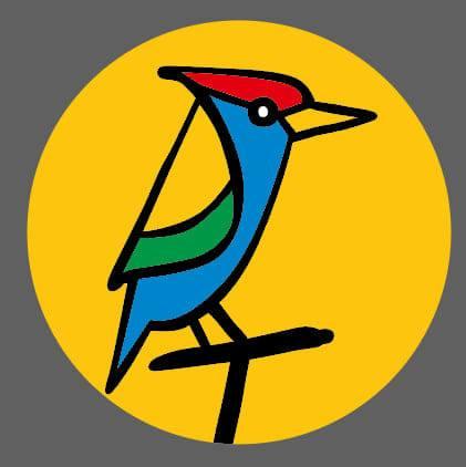 ΤΡΥΠΟΚΑΡΥΔΟΣ