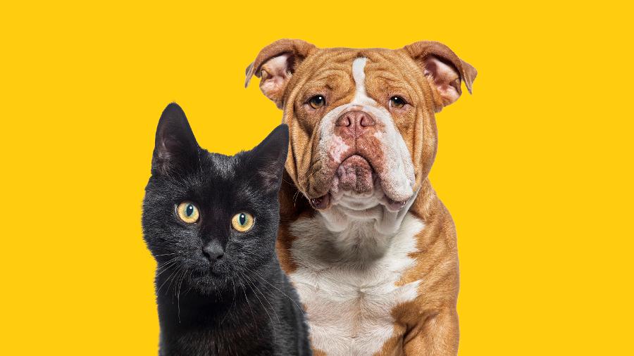 PETMANIACS