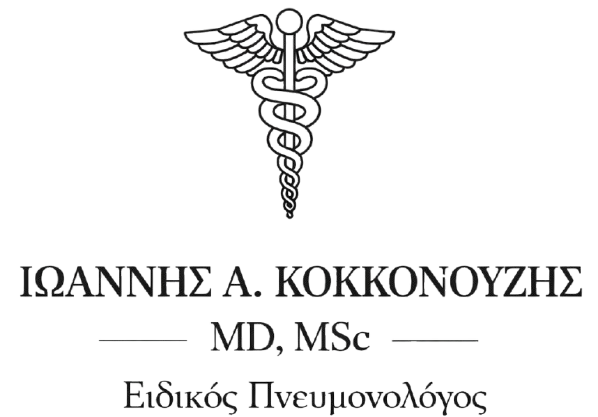 Ιωάννης Α. Κοκκονούζης