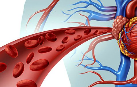 Γιοσδέκος Αλέξανδρος