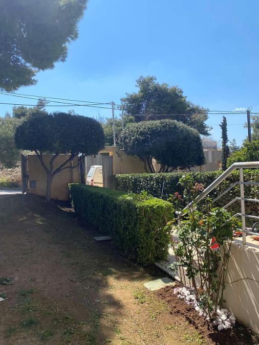 συντήρηση κήπων Παλλήνη, Κατασκευή Κήπου Πεντέλη, Αυτοματο πότισμα Παιανία, κατασκευη κήπου Παλλήνη, καθαρισμοί οικοπέδων Νέα Πεντέλη, Παλαιά Πεντέλη