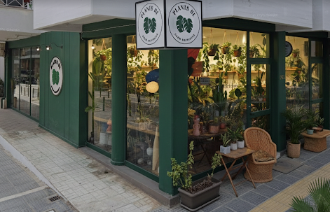 Plants Be, Ανθοπωλείο Βόλος, Αποστολή Λουλουδιών, Φυτά Εσωτερικού Χώρου Στολισμός Γάμου, Μπουκέτα, Ανθοδέσμη Ορκωμοσίας