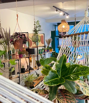 Το ανθοπωλείο Plants Be εξυπηρετεί με φυτά εσωτερικού χώρου, στολισμό γάμου βάπτισης και αποστολή λουλουδιών την πόλη του Βόλου και όλες τις γύρω περιοχές.
